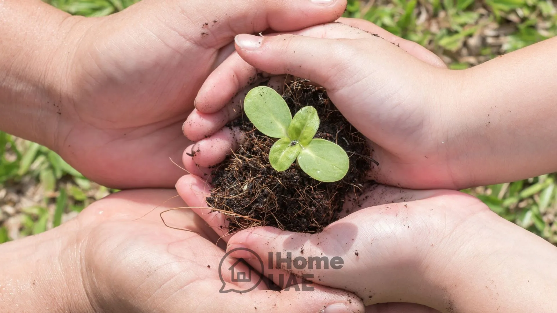 خرید آپارتمان های ویبریج گاردنز لئوس در منطقه دبی لند